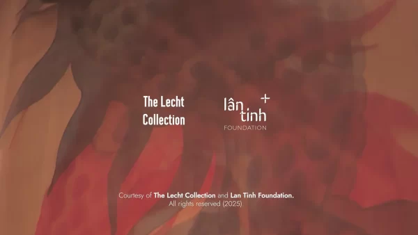The Lecht Collection